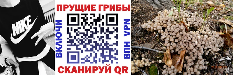 Галлюциногенные грибы ЛСД  MEGA сайт  Югорск 