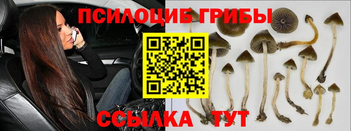 Псилоцибиновые грибы MAGIC MUSHROOMS Югорск